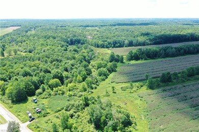 0 Stanhope Kelloggsville Rd unit 4473477, Denmark, OH 44032 - photo 4