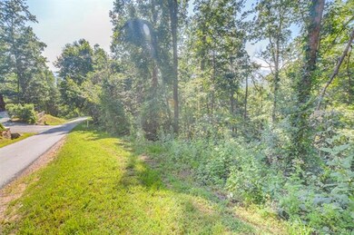 Nice and private wooded area