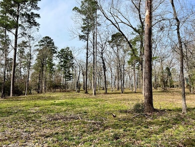 3.48 Roberts Ln, Diboll, TX 75941 - photo 4