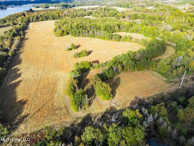 0 Catlett Rd unit 4132090, Madison, MS 39110 - photo 6