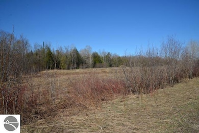 0 Wilson Rd unit 1931669, East Jordan, MI 49727 - photo 3