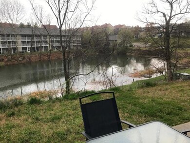 pond view