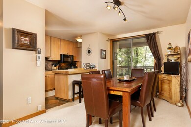 1028 E Hopkins Ave unit 24, Aspen, CO 81611 - photo 4