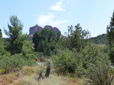 P1020428