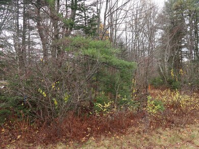 16 Renee Rd, Freeport, ME 04032 - photo 4