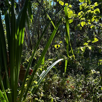 0 Oopu St unit 725856, Hawaiian Beaches, HI 96778 - photo 6