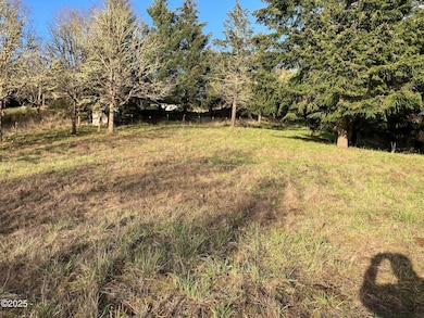 1200 Blk NE Center St unit Parcel  4, Sheridan, OR 97378 - photo 5