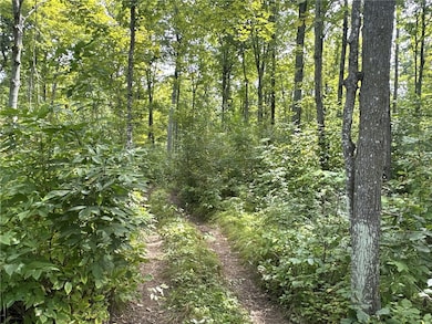 TBD - E 16th Ave, Sumner, WI 54868 - photo 5