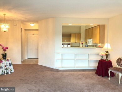 3005 Leisure World Blvd S unit 502, Silver Spring, MD 20906 - photo 7