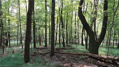 TBD Bryden Rd, Clay, WV 26062 - photo 7