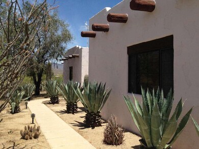 Desert Landscaping