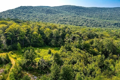 Lot 3 Route 11 30, Winhall, VT 05340 - photo 3