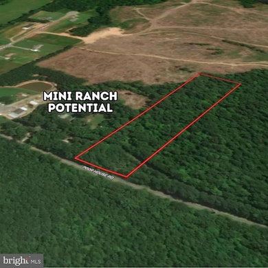 00 Poor House Rd, Lawrenceville, VA 23868 - photo 6