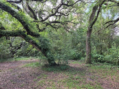 37742 Glades Ln, Zephyrhills, FL 33542 - photo 5