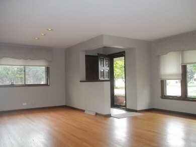 452 E Allison St, Elmhurst, IL 60126 - photo 3