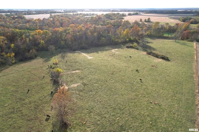 0 1380 E, Kane Township, IL 62054 - photo 4