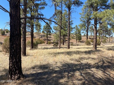 0 Lodge Rd unit 6321486, Aripine, AZ 85933 - photo 3