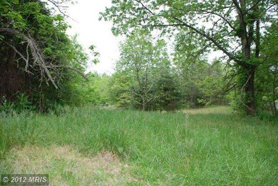 28385 Eleys Ford Rd, Richardsville, VA 22736 - photo 4