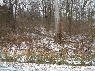 7694 Sheldon Rd, Dover, NY 12594 - photo 2