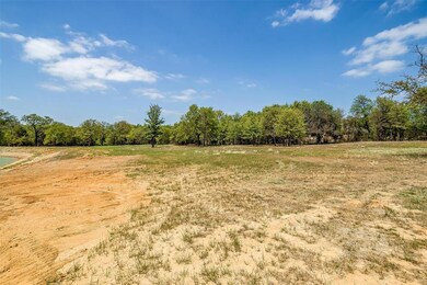 1040 Estancia Blvd, Weatherford, TX 76088 - photo 4