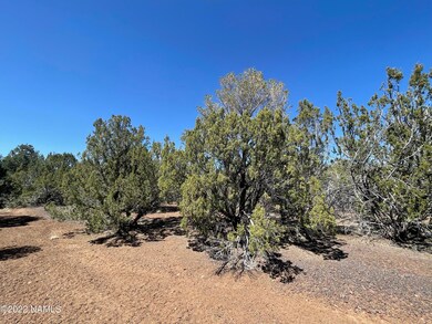 E Forest Service 736 Rd