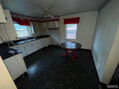 222 N 46th St, Belleville, IL 62226 - photo 7