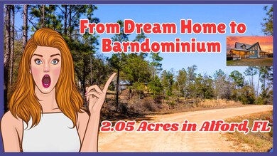 0 Holly Springs Ave unit 25490057, Alford, FL 32420 - photo 2