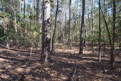 4051 Hard Scrabble Rd, Columbia, SC 29223 - photo 7