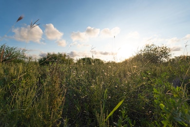 County Road 12, Corpus Christi, TX 78415 - photo 4