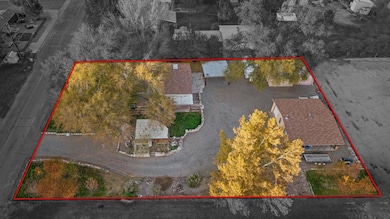 962 17 1 4 Rd, Fruita, CO 81521 - photo 6