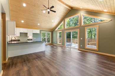 10025 Forest Ln, Bon Aqua, TN 37025 - photo 4