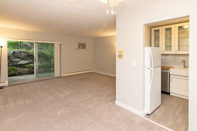 95 Grove St unit 3, West Roxbury, MA 02132 - photo 2