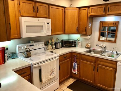 843 Palm Dr, Alamo, TX 78516 - photo 5