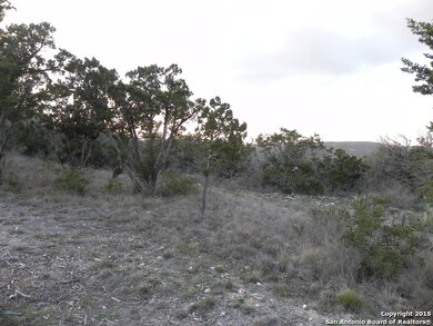 12331 Cross Cut, Helotes, TX 78023 - photo 7