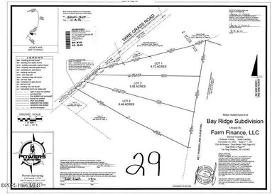 Lot 2 Wire Grass Rd, Orrum, NC 28369 - photo 7