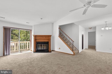 11318 Halethorpe Terrace, Germantown, MD 20876 - photo 5