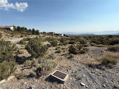0 Rudin Dr, Cold Creek, NV 89124 - photo 7