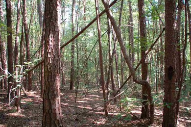 157 Honeywood Dr, West Union, SC 29696 - photo 7