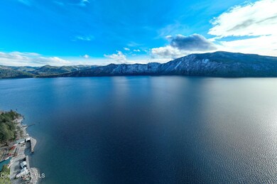 From Drone