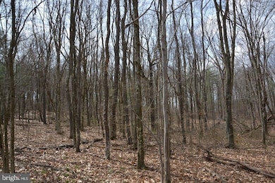 0 Akers Rd unit PABD2002772, Clearville, PA 15535 - photo 5