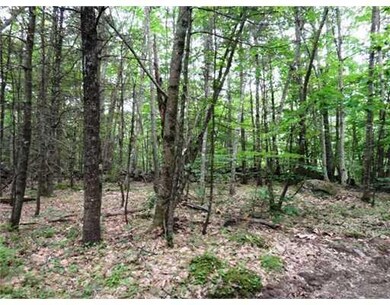 Land/Lot.