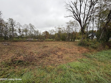 28 Freesia Ct, Brandenburg, KY 40108 - photo 3