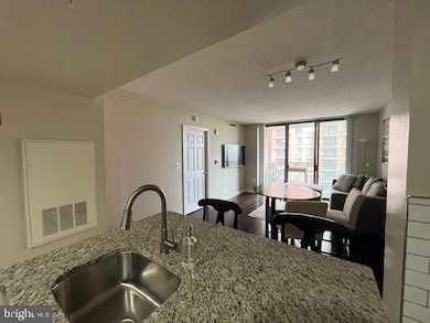 11710 Old Georgetown Rd unit 820, North Bethesda, MD 20852 - photo 5