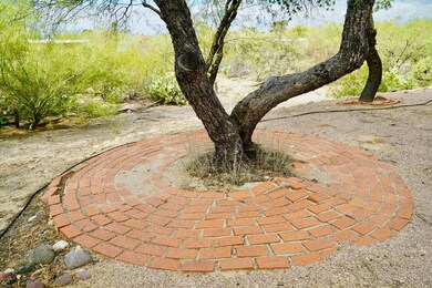 Mesquite Tree with Brick