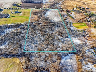 10525 Godfrey Rd, Bancroft, MI 48414 - photo 4