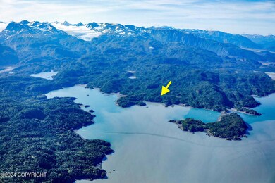 0 SW Bear Cove Lot B unit 24-3344, Homer, AK 99603 - photo 4