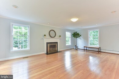 1217 Warrington Place, Alexandria, VA 22307 - photo 5