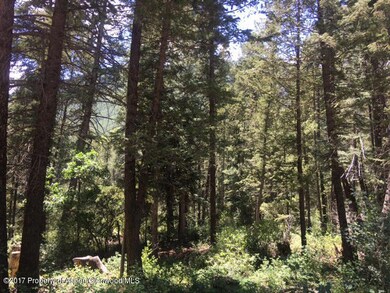 Shelton_IMG_1820