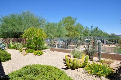 back yard