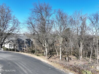 DJI_0956